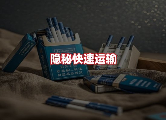 专业团队